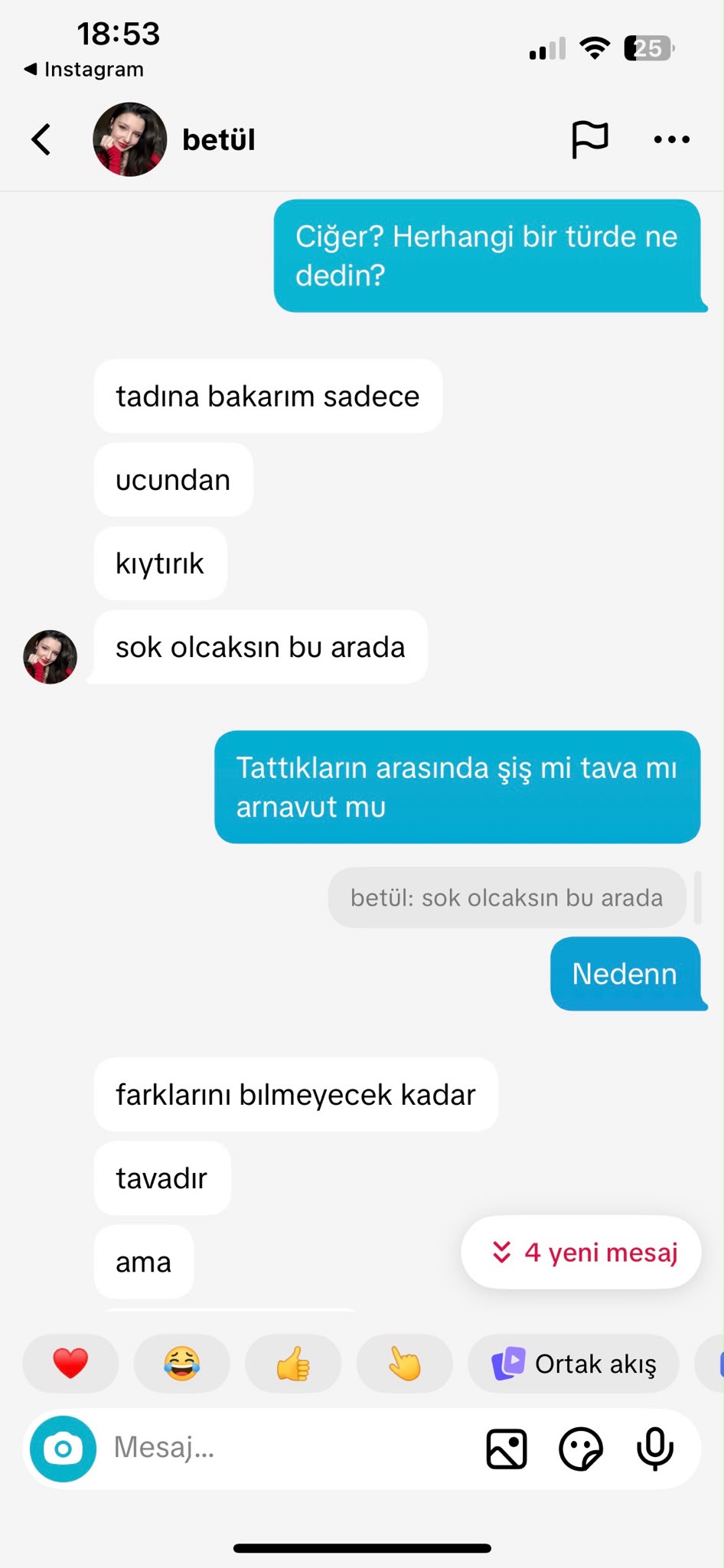 Yemek testi — ciğer faslı